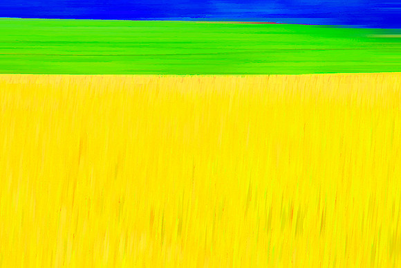 Wheat Field Abstract