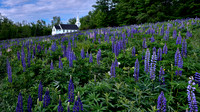 New England