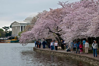 Walk around Tidal Basin