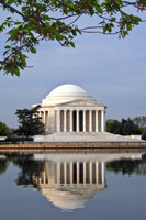 Jefferson Memorilal in Reflection
