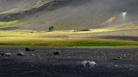 Colors of Iceland