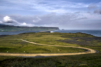 Dirt Road at Dyrholaey