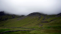 Grass and Fog everywhere