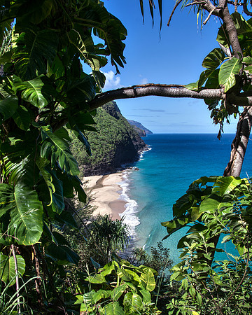 Hanakapiai Beach thru Foliage - 2