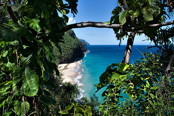 Hanakapiai Beach thru Foliage