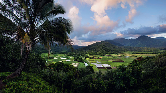 Taro Fields Overlook - Kauai