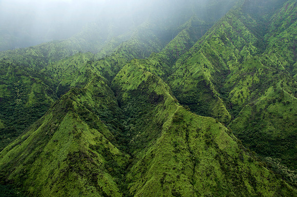 Over the Rainforest - Napali