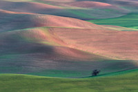 Pacific Northwest & Palouse
