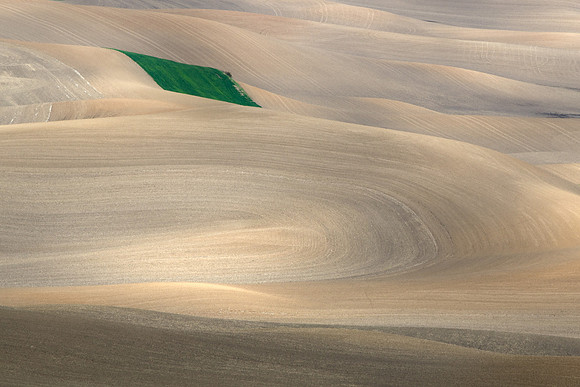 Patterns of the Palouse