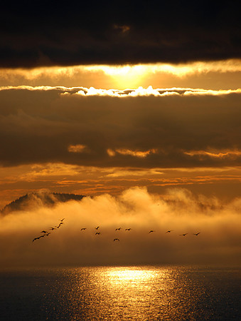 Puget Sound Sunset