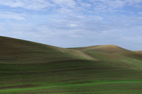 Spring Plantings at The Palouse