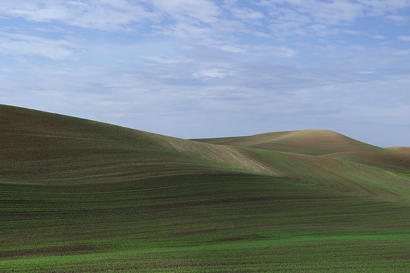 Spring Plantings at The Palouse