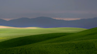 Foothills of the Palouse