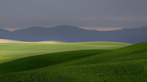 Foothills of the Palouse