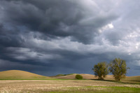 Gathering Storm at the Palouse