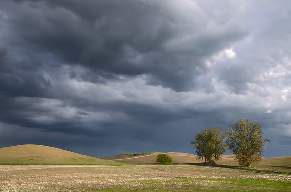 Gathering Storm at the Palouse