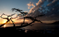 Washington Park - Anacortes WA