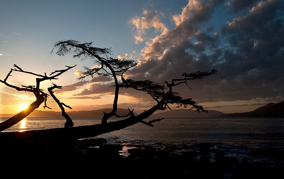 Washington Park - Anacortes WA