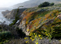 Colorful Cliffs at Garrapata - Big Sur