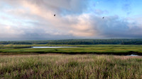 New England