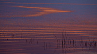 Reflections at Sunset