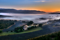 Morning Fog over Lavender Fields