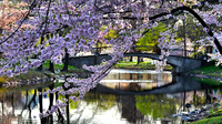 New England