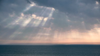 Gulf Coast Sunbeams
