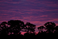 Florida Sunrise