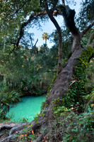 Green Springs, Florida