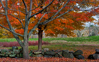 New England