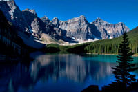 Lone Spruce at Moraine Lake