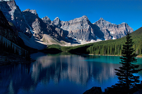 Lone Spruce at Moraine Lake