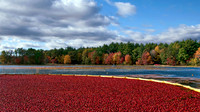 New England